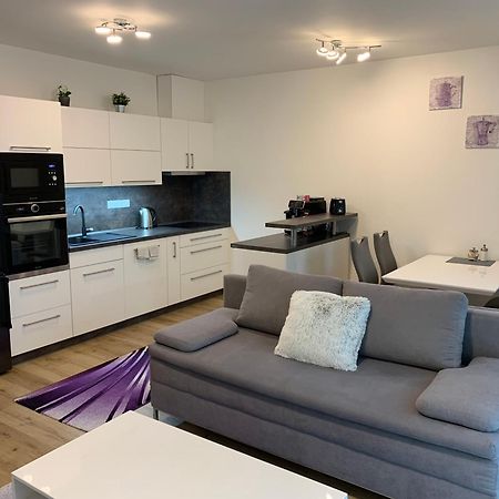 Apartman S Vyhlidkou Горні-Маршов Екстер'єр фото