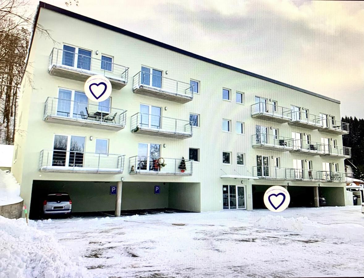 Apartman S Vyhlidkou Горні-Маршов Екстер'єр фото
